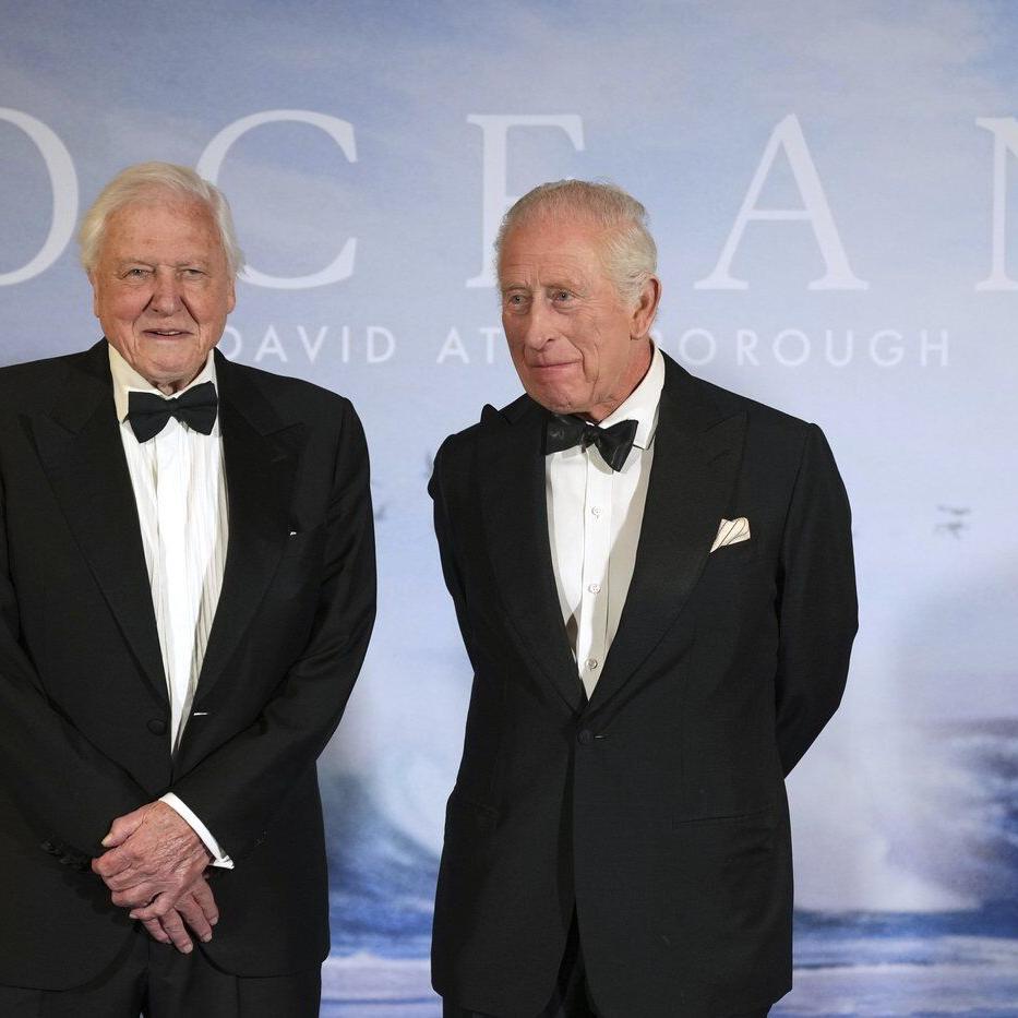 David Attenborough’s 'Ocean' is a brutal, beautiful wake-up call from the sea